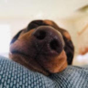 Meet your Posher, Emma